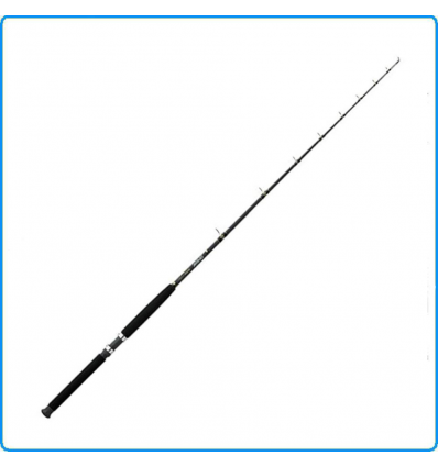 CANNA TRAINA DAIWA SEAGATE BT 70 12-25LB 2.10mt 