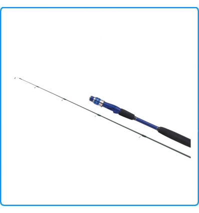 CANNA SHIMANO NASCI BX SPINNING 2.1mt 10-40g SEZIONI 2(SH) PESCA SPIGOLA SERRA