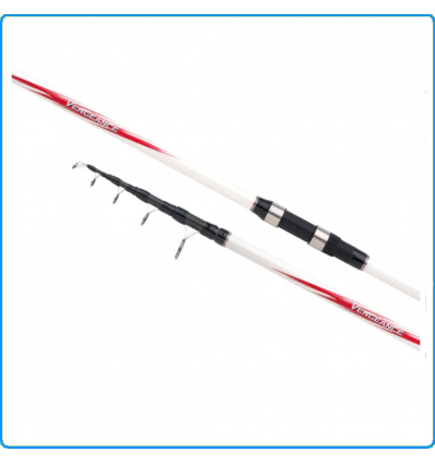 CANNA SHIMANO SURFCASTING Vengeance CX Tele Surf 4.2M 120G PESCA ORATA MORMORA 