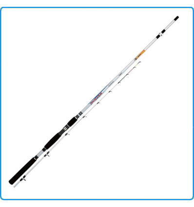 CANNA BOLENTINO COLMIC PANTER BOLENTINO 2.40MT 200g 2 SEZIONI PESCA DALLA BARCA