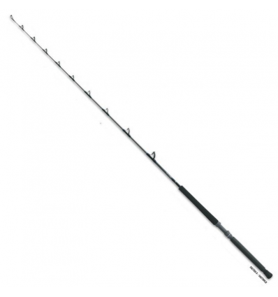 CANNA DAIWA TRAINA SALTIGA G BT 70 2.10MT 15-30LB MONOPEZZO