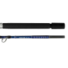 CANNA BOLENTINO PROFONDO DAIWA TANACOM DEEP 2.40MT 200-800g 1+1OFF SETT