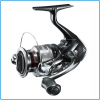 MULINELLO SHIMANO CATANA C3000FD PESCA MARE LAGO SPINNING EGING BOLOGNESE FEEDER