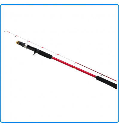 CANNA SHIMANO ENGETSU BB 2.06m 40-130g PESCA IN BARCA TAI KABURA RUBBER JIGGING