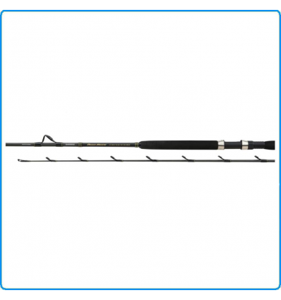 CANNA TRAINA SHIMANO Beastmaster AX BOAT Slim 30-50lbs 2.28mt DENTICI RICCIOLE