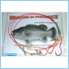 BOLENTINO PROFONDITA FINALE PRONTO PESCA NASELLI OCCHIONI CERNIE PARAGHI CAPONI
