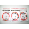 SURFCASTING 3 TERMINALI ROSSI 2AMI PER SARAGHI E ORATE MORMORE PESCA DA TERRA ORATE E MORMORE
